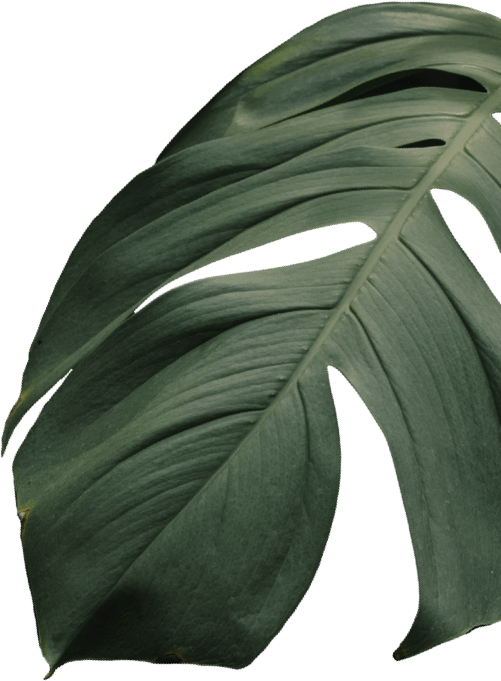 Our Menus, Iraklis Traditional Tavern &amp; Bar in Gouves, Crete