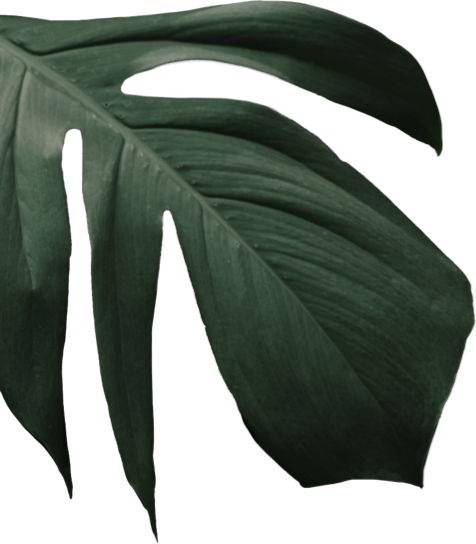 Our Menus, Iraklis Traditional Tavern &amp; Bar in Gouves, Crete