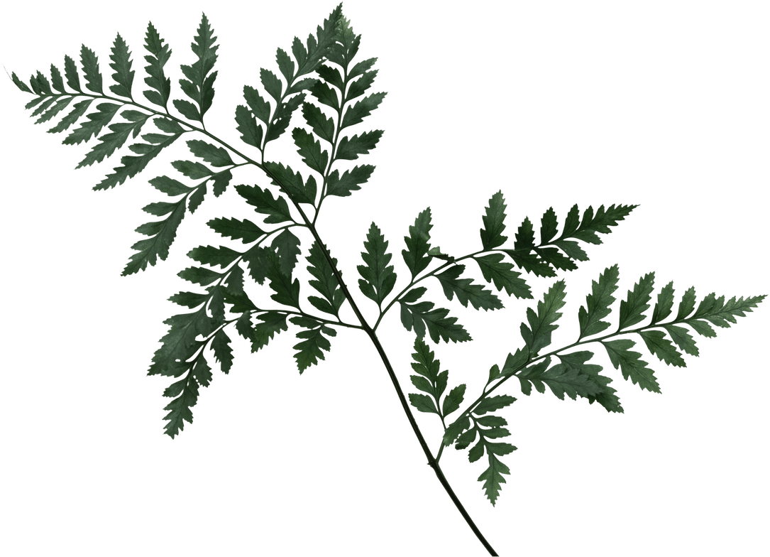 Our Menus, Iraklis Traditional Tavern &amp; Bar in Gouves, Crete